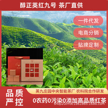 【茶厂直发】英红九号英德红茶厂英九庄园批发英红9号农科院合作