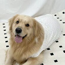 ���Ŀ�ɐ��д���Ȯ2025�¿���·���ë�Ĕz�b��b������b