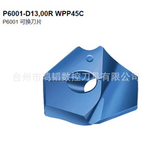 P6001-D13 00R WPP45CߠؔصߺϽ^ƬC荼