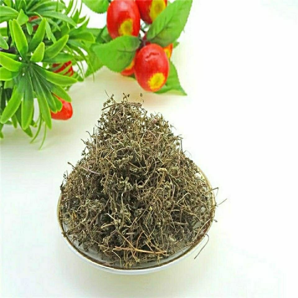 Dried Euphorbia Humifusa Di Jin Cao 500g Sliced Creeping Euphorbia Herb for Traditional Decoctions quality and texture