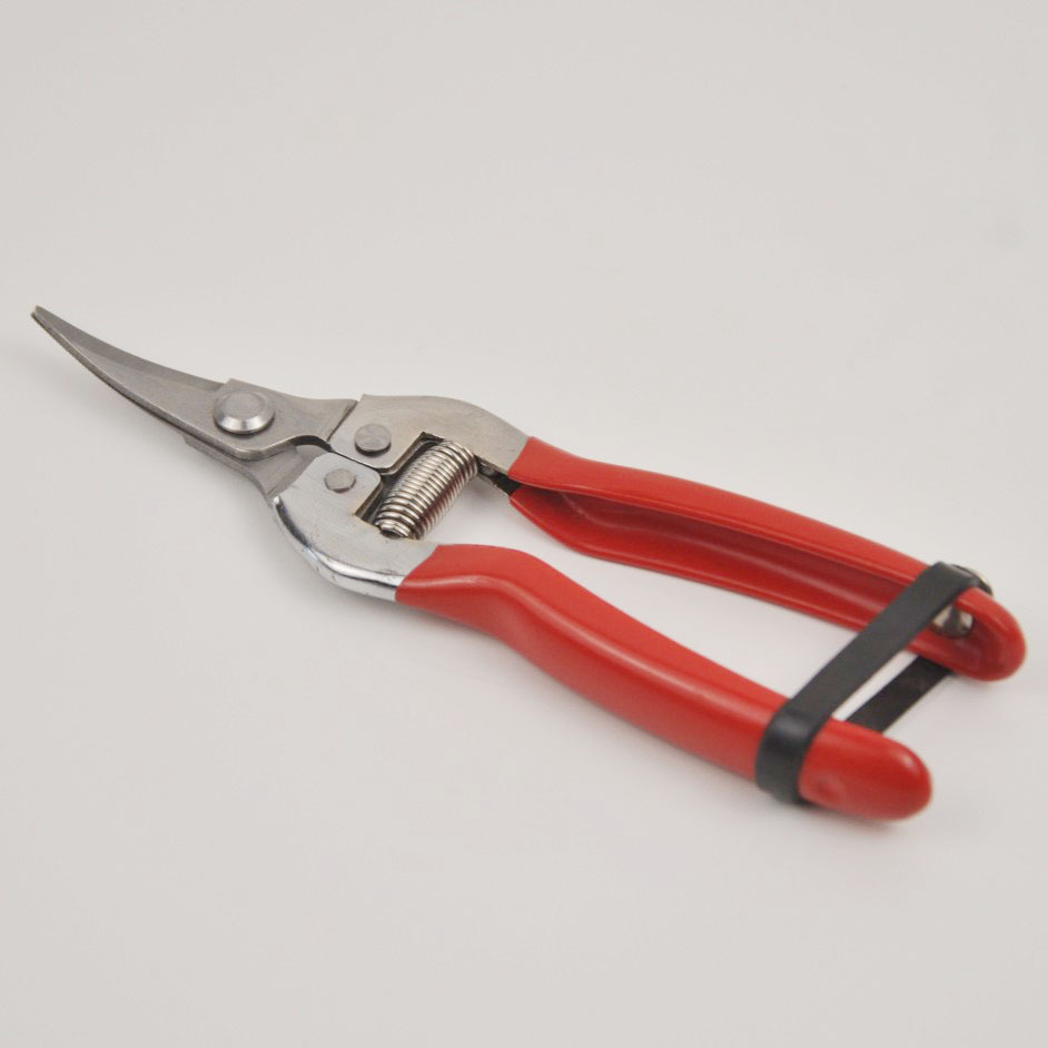 果树园艺剪花草花卉修枝剪 蔬果剪摘果剪刀柑桔修剪采摘工具