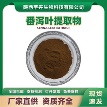 番泻叶提取物 水溶番泻叶粉 番泻叶浓缩粉 厂家供应1kg现货包邮