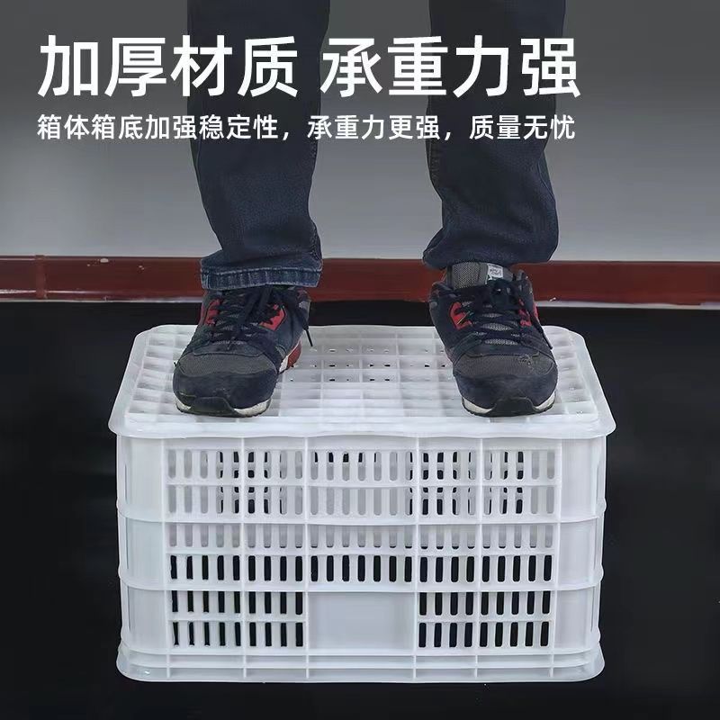 塑料筐子周转筐长方形蔬菜水果筐收纳箱龙虾海鲜筐鸡蛋筐周转箱
