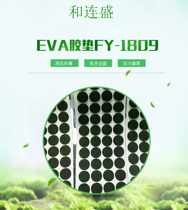 EVA商品简介01.jpg