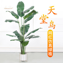 ����Gֲ���Դ��ͱ��Wins�L��ֲ�����˽��W�t�����B�҃��b[��