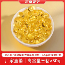 散装灵芝孢子油0.5g/粒厂家现货高三萜含量>30g孢子油软胶囊现货