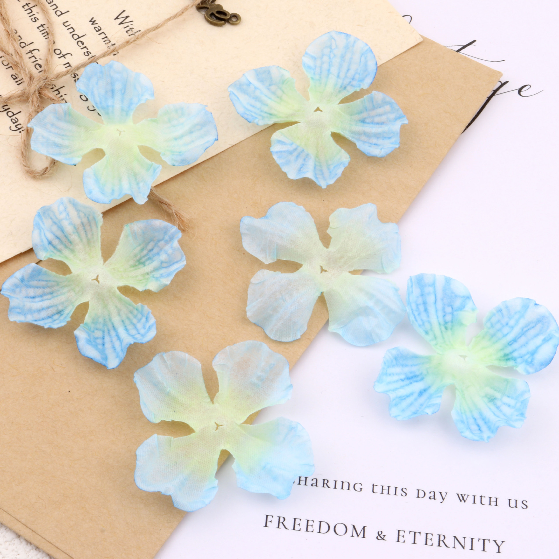 베이지 블루 1팩 50정