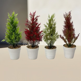 ����Gֲ���� �����}�Q���ɰؘ��~�辰 ����ٻ��G���b����[��