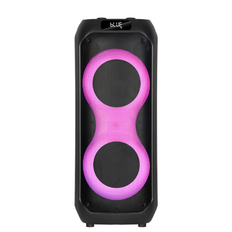Dual 8 pulgadas 40W altavoces Bluetooth de sonido al aire libre Cool LED Lightband Micrófono de carga inalámbrica