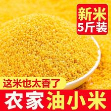 ���|�SС�����С������s�Z�خa�ZʳС�S����С�����С��������