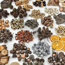 ľƬֲ̫˱ɹdiyɻϰֹ