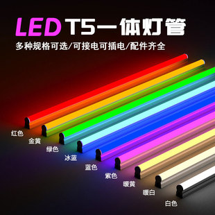艺术联名款霓虹灯管 | 618限时特惠 | 夏至氛围灯
