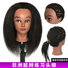 ���l�^ģ�����^�����^��l�^traininghead�p�l���l�ƶ������˾��l