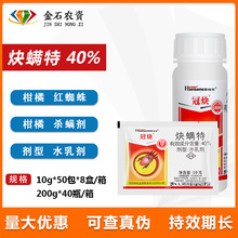 ��Ȳ 40%Ȳ�\�ؚ��x�����\���¼��߲˹���t֩���S֩����S�\200g