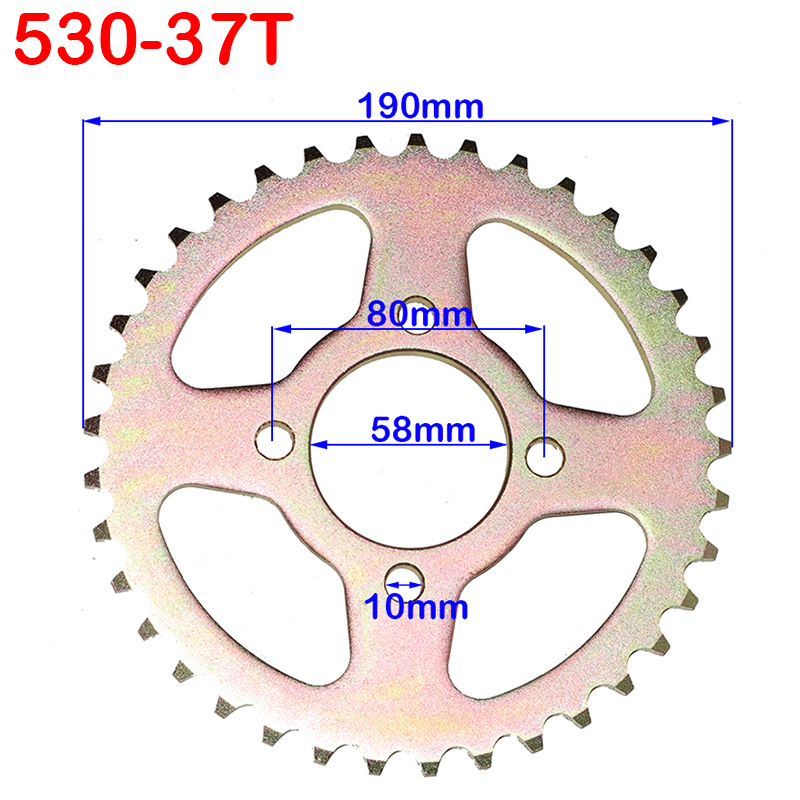 적갈색 530-58-80-37 치아
