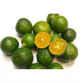 速冻果蔬类;盆栽;玉米