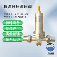 KDY22F-40P�͜������{���{���y  ��Ȼ���y�T-196-+80�� DYS-25