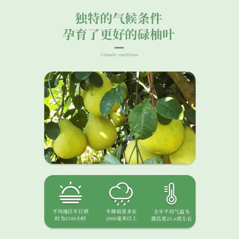 【全网热销】碌柚叶五合一洗衣凝珠洗衣液除螨保湿清凉去霉行好运|undefined