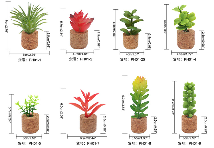 PHT07归苑详情已修改_03