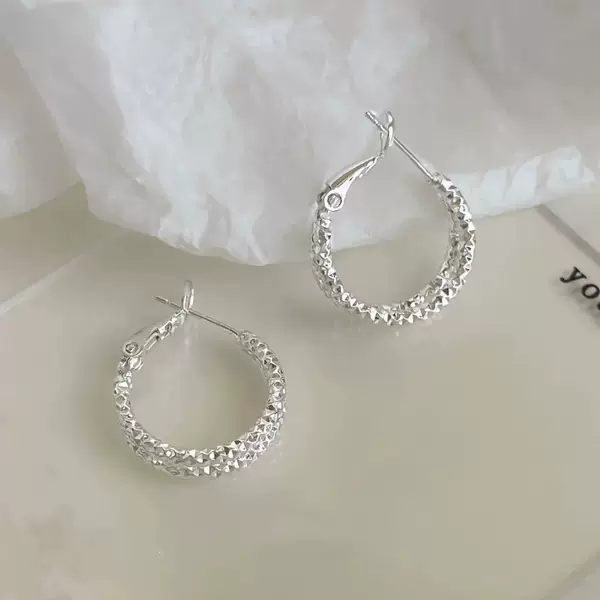 Tiktok Trending Double-Layer Double-Ring Silver Crushed Ice Earrings Versatile High-End Earrings Light Luxury Crushed Silver Hoop Earrings