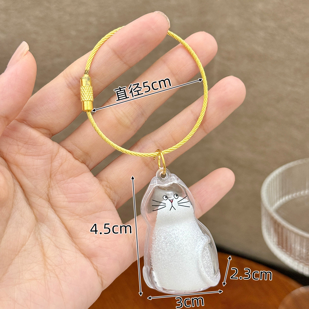 Cartoon Pet Storage Keychain Lovely Transparent Pet Memoria Keychain Pet Listing Keychain