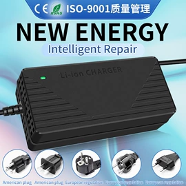 电池充电器;电动车充电器;平衡车