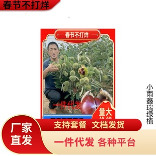 һ�����l�޽Ӱ����������Ϸ������Nֲ��t���ش������������
