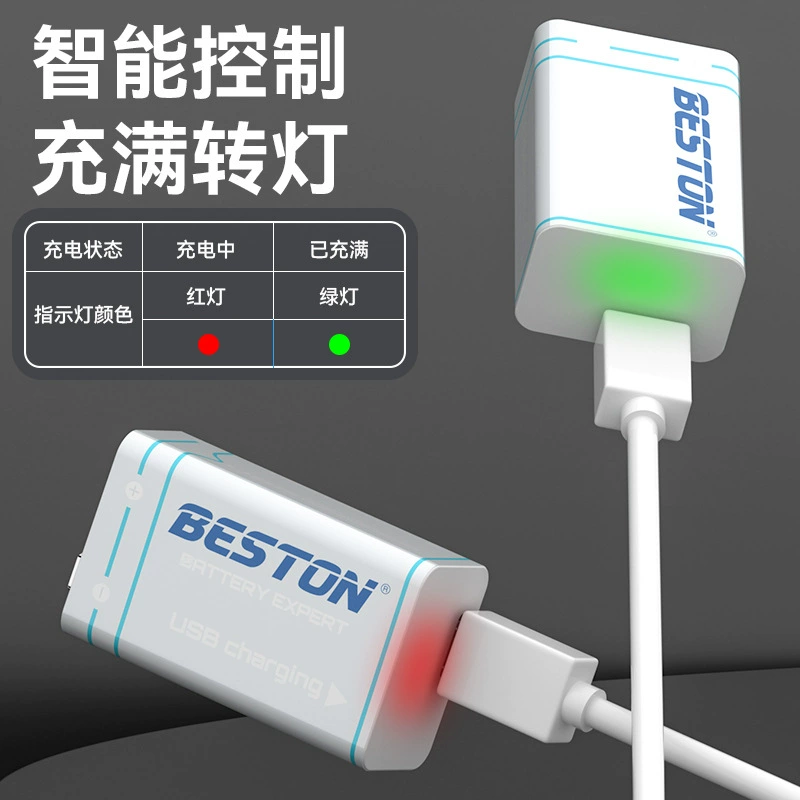 BESTON Bai Shitong 9V постоянная полярность Type-C квадратная 1000mAh зарядка батарея полноценно включается индикаторы зелёного света