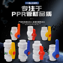 PPR�p����о���y�p���ȫ�����y���yPPR�y�T��ֹ�yˮ��������