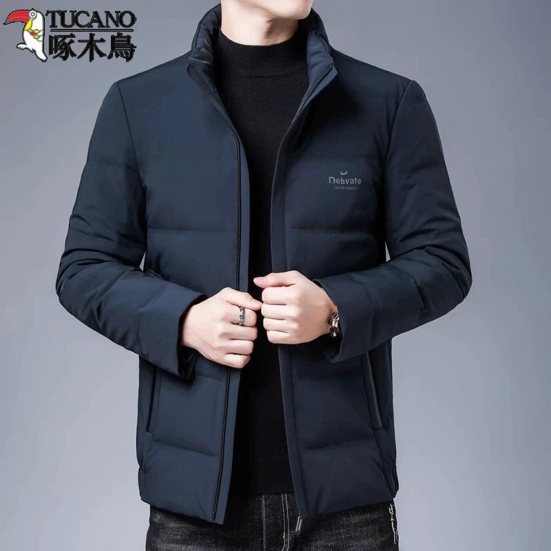 Men's short demi-season down jacket