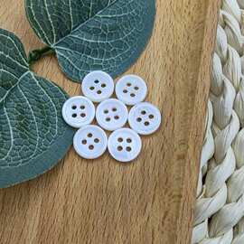 天然贝壳贝,珍珠贝白贝细边四眼淡水贝4眼可染色马司贝马氏贝河贝