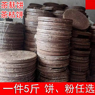 �������r��ե����������������Ͳ��ɲ���ϴ�l�o�l�B�l5�W