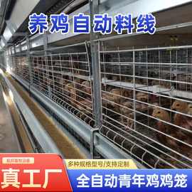 青年鸡立式自动化养殖设备全自动框架养鸡笼鸡舍养鸡场层叠式钢丝