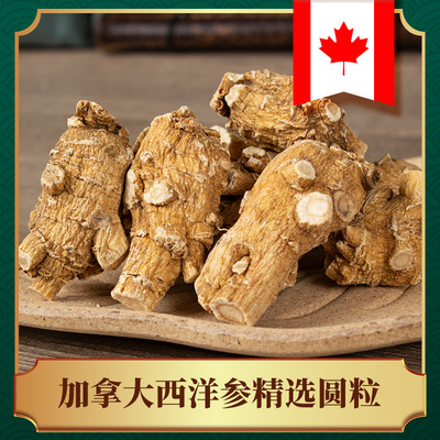 康乐满院加拿大圆粒 6年足龄西洋参粒头 花旗参段产地货源批发