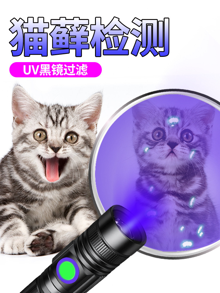 Cat Moss Uv Flashlight Rechargeable Ultraviolet Lamp for Money Detection and Identification Uv Curing Lamp Fluorescent Agent Detection Pen
