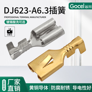 �ȴ�6.3ƽ�厧�̲�� 250��Ɍ�����܏� �S�~���| �Ӿ�����