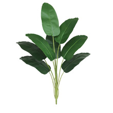 ����Gֲ���˽��͏d����҃������b��⻨�@�쾰���ϰŽ��~�٘�