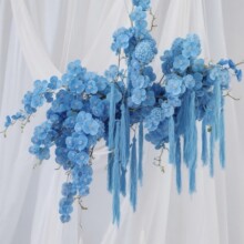 �¿��Y�Ù�������ë�����K�p�@�޾��K���Ɍ���c������̨�b�