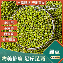 �G����؛ �r��С�G��ȥƤÓƤ�G����G�����������r��ѿ