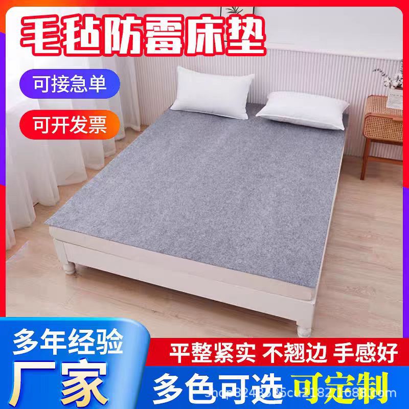 Moisture-Proof Mat for Student Dormitories, Moisture-Proof, Mildew-Proof, Thickened Mattress for Bed, Moisture-Absorbing Tatami, Foldable Felt
