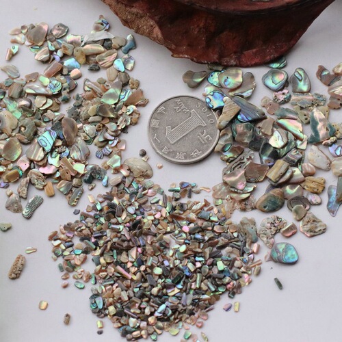 Abalone, natural shell mother-of-pearl fragments, manicure sequins, decorative inlays, nail accessories