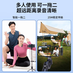 Cross-border live streaming microphone, noise reduction lapel microphone live streaming equipment, two-in-one wireless lapel microphone