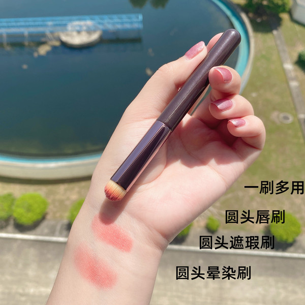 Beauty bloggers recommend multi -functional round head and lip brush…