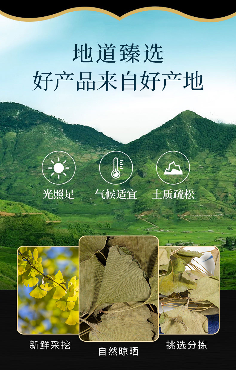 Ginkgo Leaf Powder (Ginkgo biloba) — Dried Food Herb, 500g overview