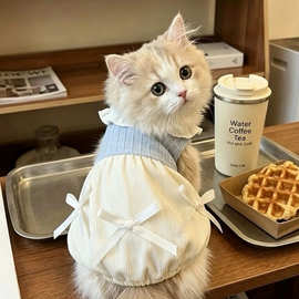 猫咪裙子小狗狗夏季春秋衣服宠物小型犬泰迪比熊博美猫咪薄款可爱