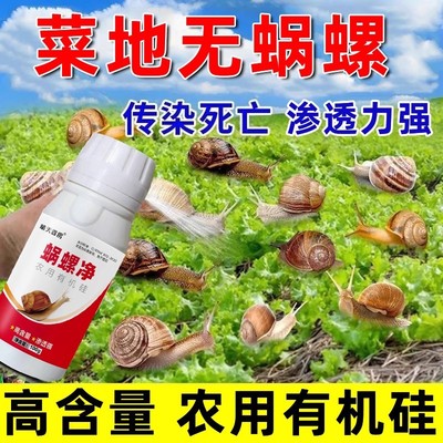 蜗螺净庭院蜗牛鼻涕虫果树蛞蝓福寿螺蔬菜农田增效助剂花卉通用型|ms