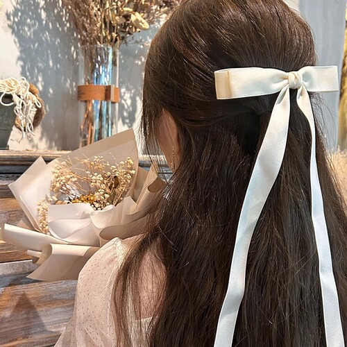 Charming Sweet Summer Ribbon Bow Ribbon Hair Clip 2025 New Style Rear Head Spring Clip Hair Pin Accessory