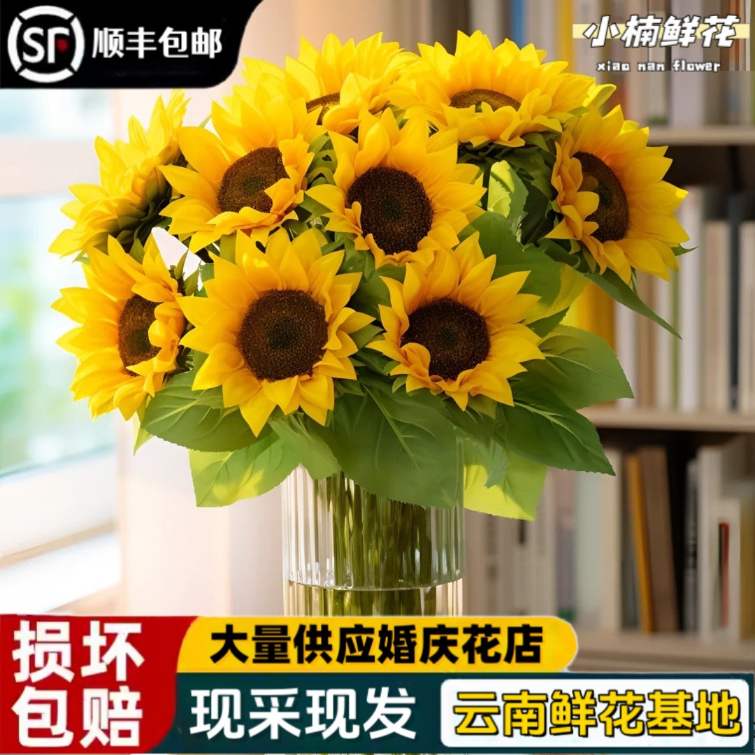 Directly Shipped from Yunnan Base, Sunflower Bouquet, Hydroponic Flower Arrangement, Living Room Decoration, Gift for Girlfriend, Teacher, Friend