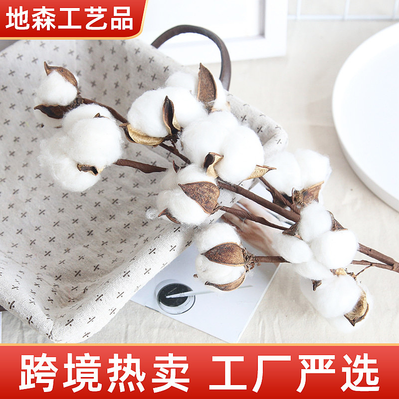 Dried Cotton Flowers, Cotton Flower Bouquets, Internet Celebrity Cotton Immortal Flowers, Dried Flower Photography Props, Factory Direct Sales, Multi-Headed Cotton Dried Cotton Flowers, Cotton Flower Bouquets, Internet Celebrity Cotton Immortal Flowers, Dried Flower Photography Props, Factory Direct Sales, Multi-Headed Cotton