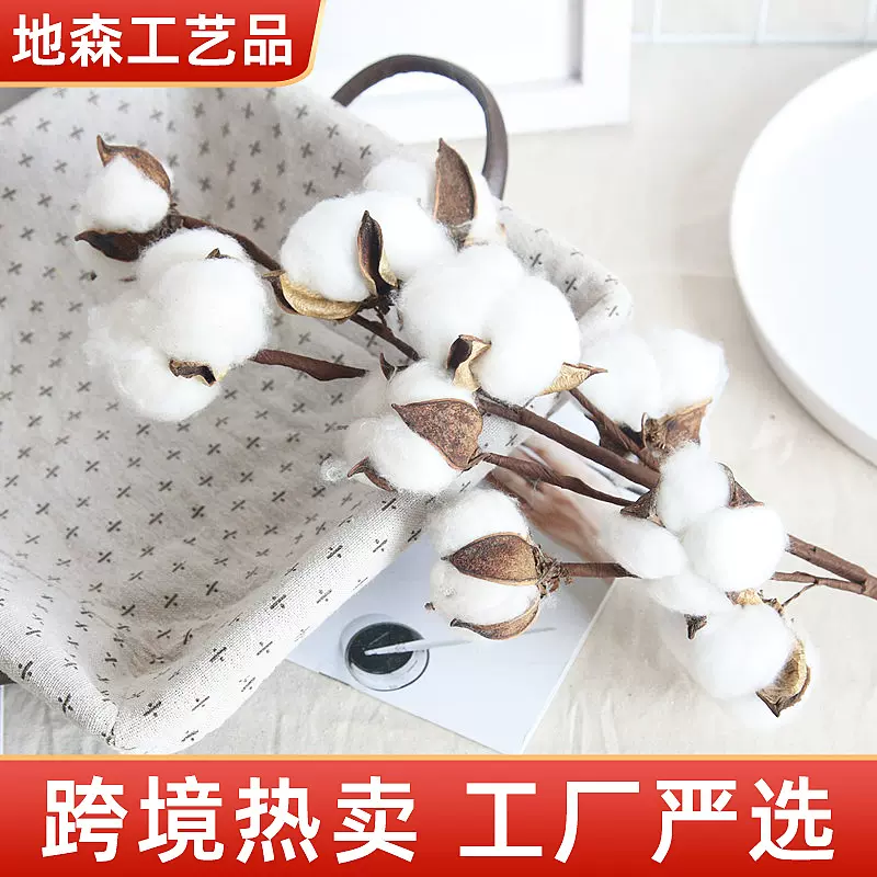 棉花干花 棉花花束 网红棉花永生花干花拍摄道具厂家直销多头棉花